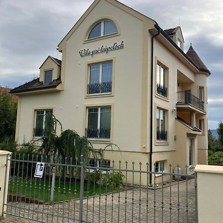 Vila Pri Kupeloch ボイニツェ エクステリア 写真