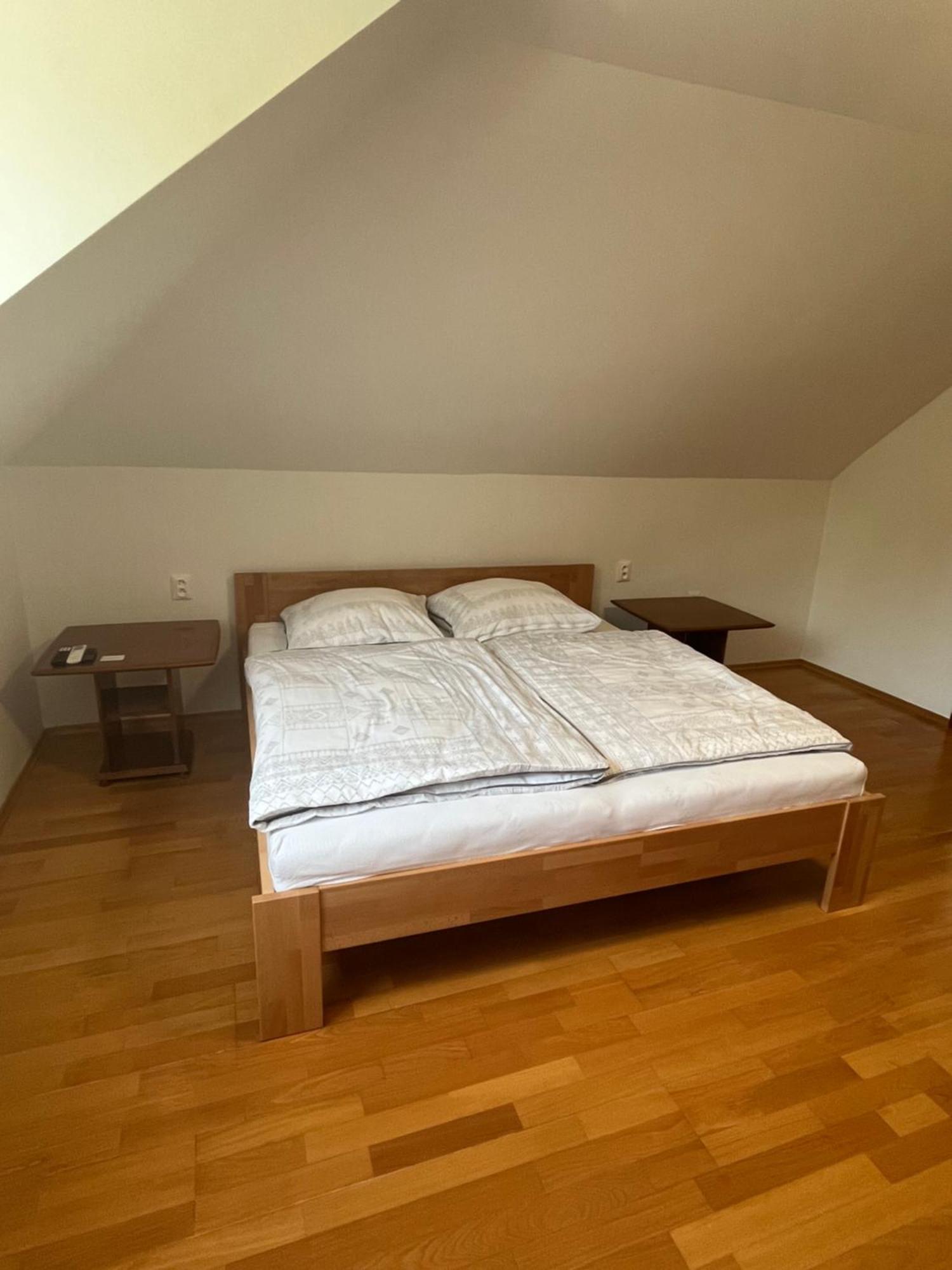 Vila Pri Kupeloch ボイニツェ エクステリア 写真